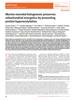 Murine Neonatal Ketogenesis Preserves Mitochondrial Energetics by Preventing Protein Hyperacetylation