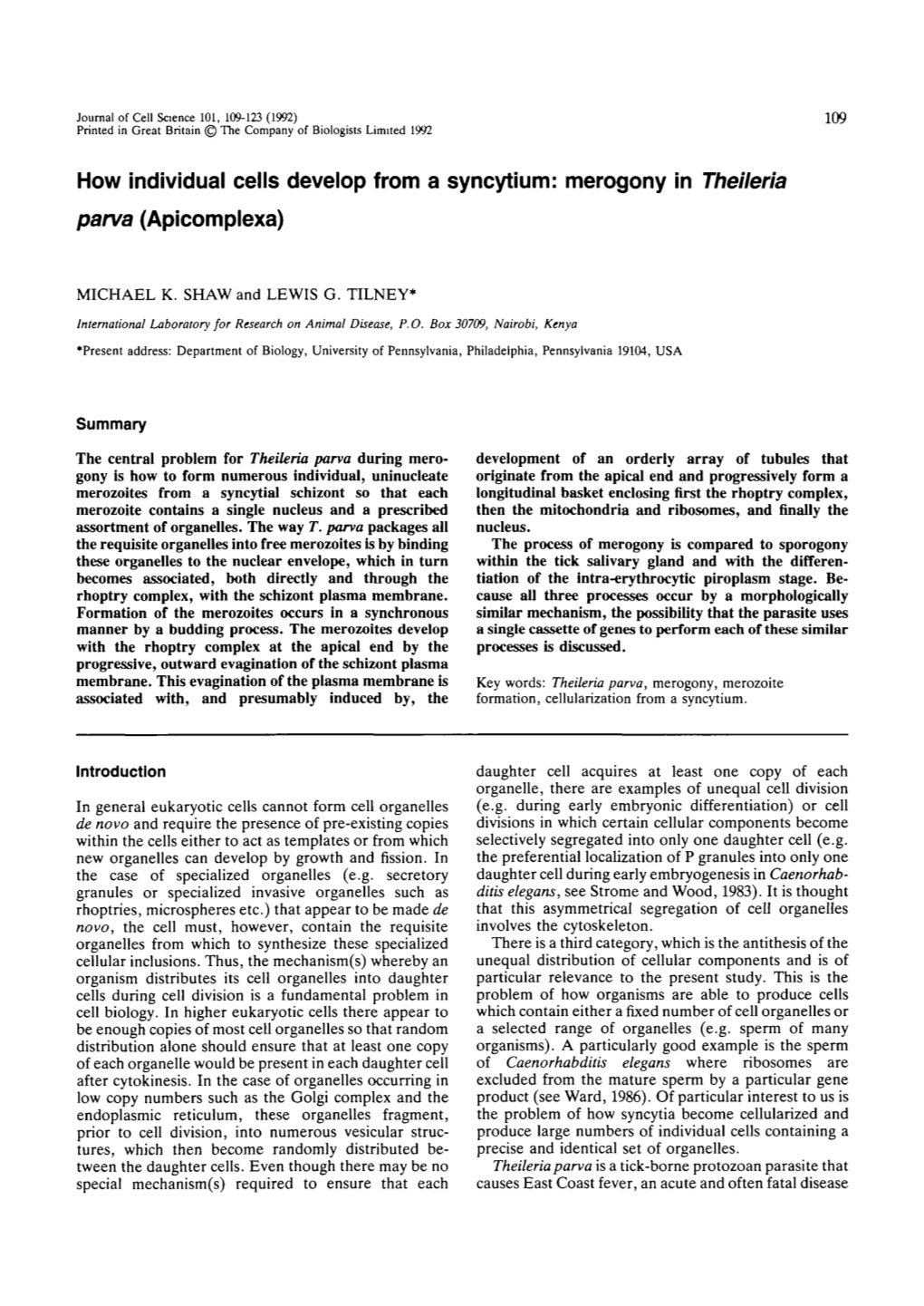 How Individual Cells Develop from a Syncytium: Merogony in Theileria Pan/A (Apicomplexa)