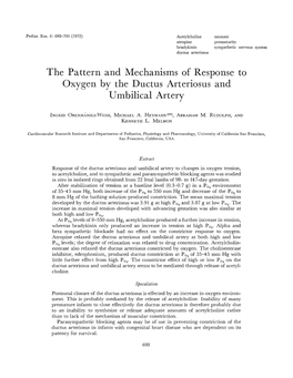 The Pattern and Mechanisms of Response to Oxygen by the Ductus Arteriosus and Umbilical Artery