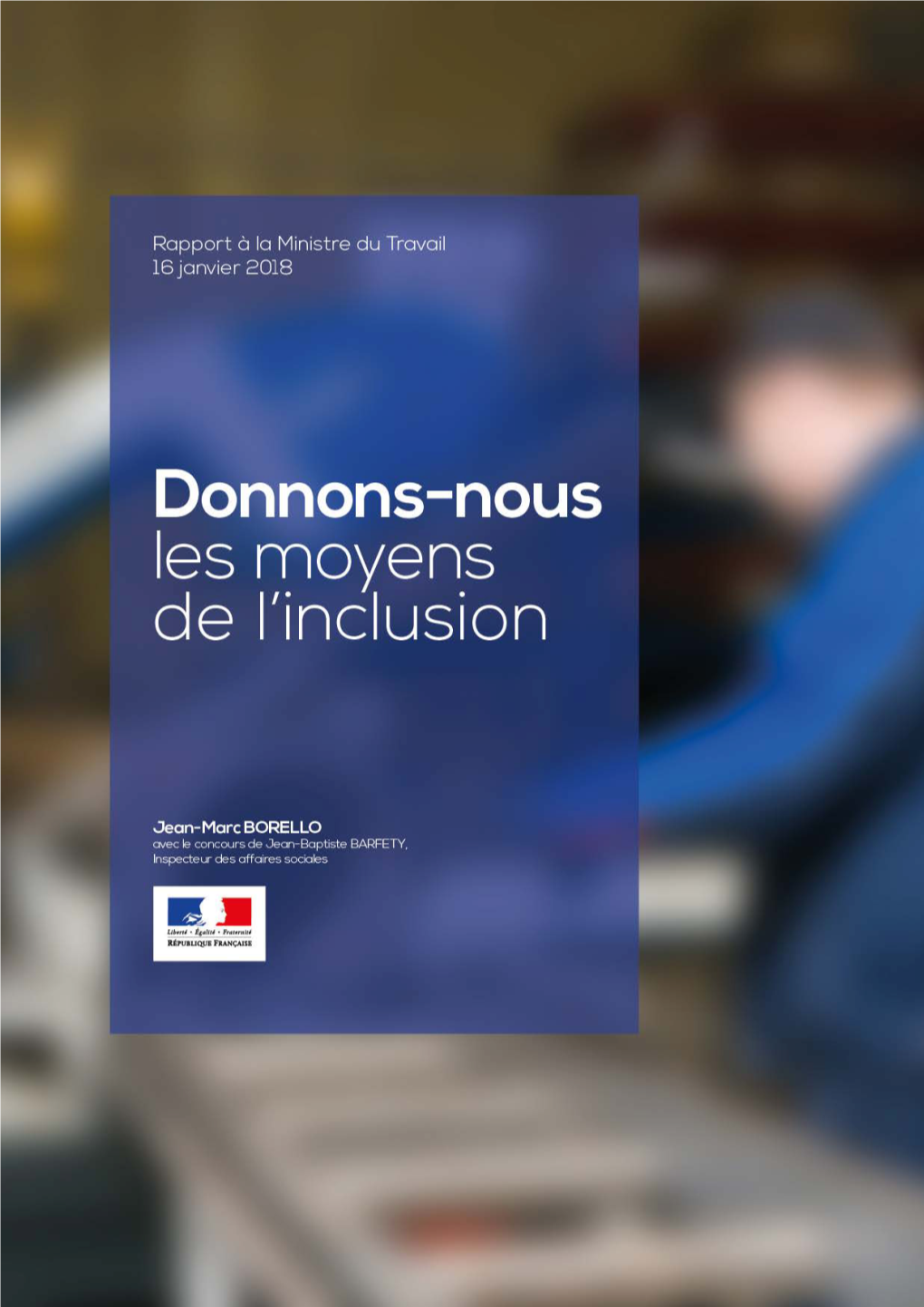 Rapport De Jean-Marc Borello « Donnons-Nous Les Moyens De L'inclusion