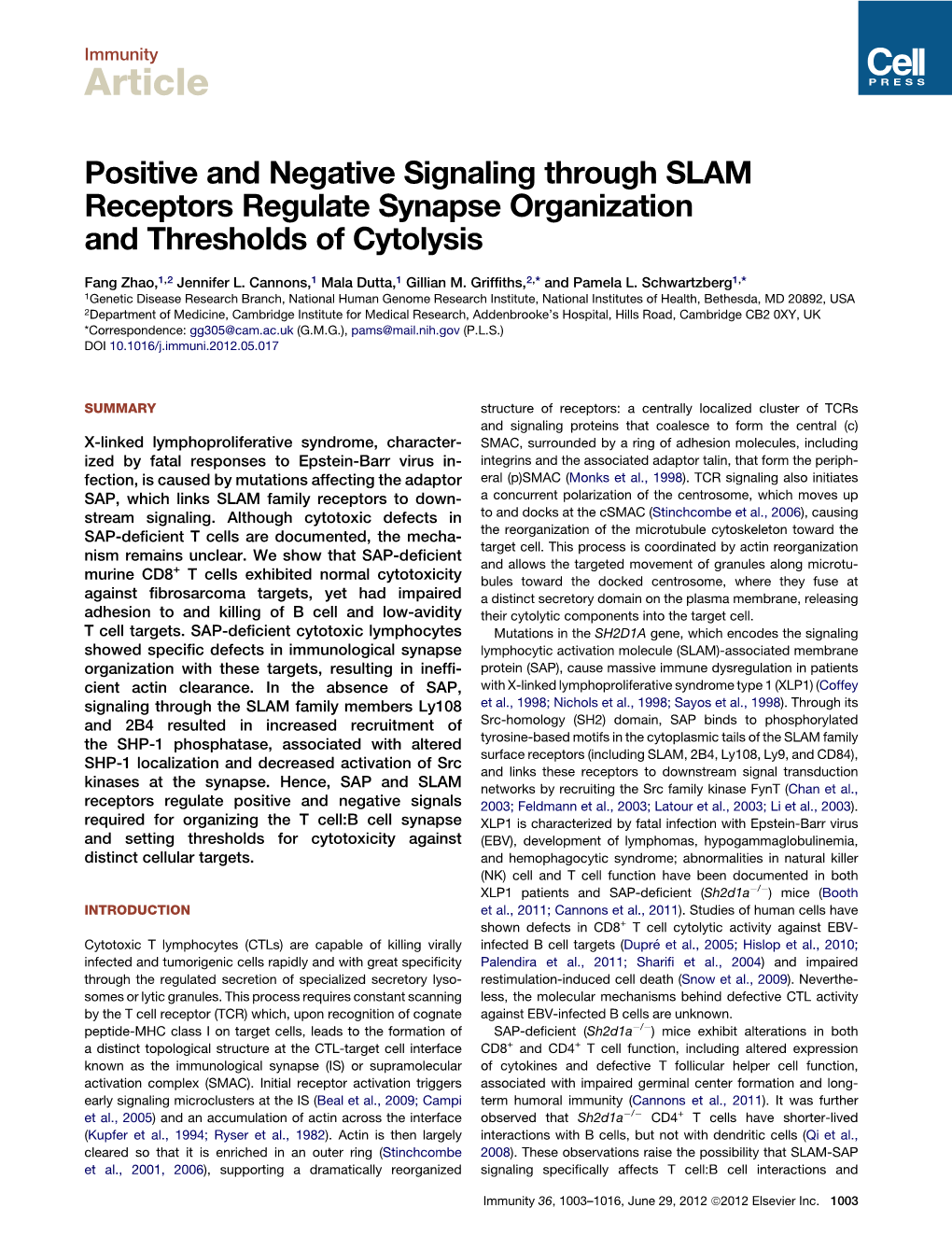 Positive and Negative Signaling Through SLAM Receptors Regulate Synapse Organization and Thresholds of Cytolysis