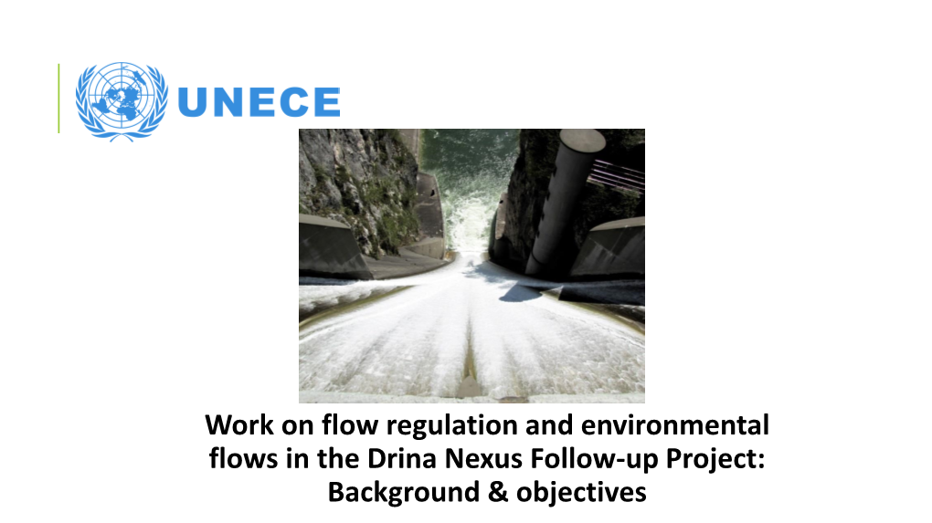 Work on Flow Regulation and Environmental Flows in the Drina