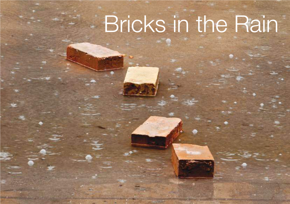 Bricks in the Rain