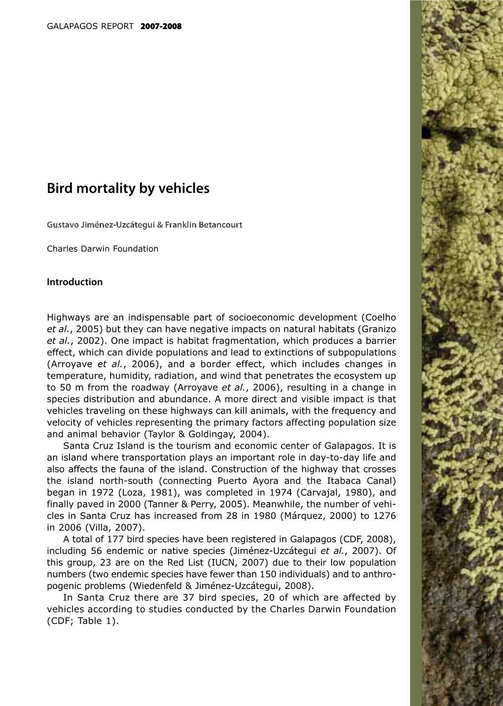 Bird Mortality by Vehicles