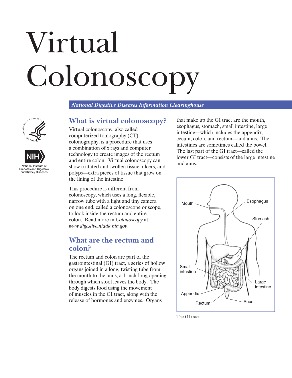 Virtual Colonoscopy