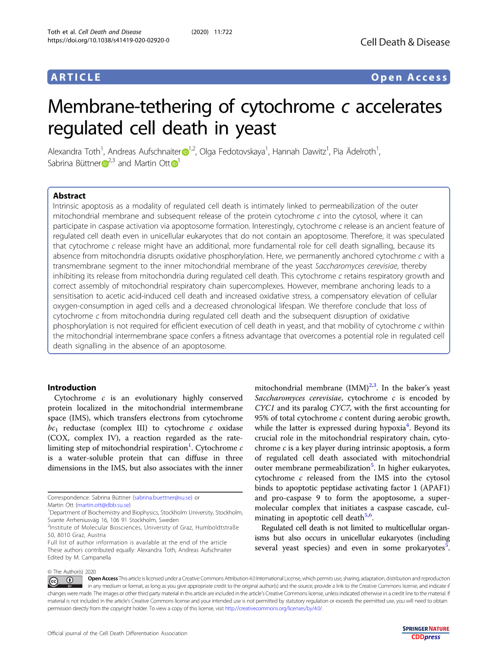 Membrane-Tethering of Cytochrome C Accelerates Regulated Cell Death In