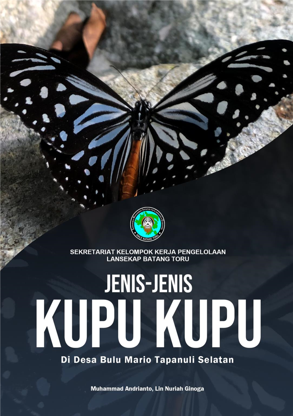 Leptosia Nina 93 PUSTAKA 41 MENGENAL KUPU-KUPU