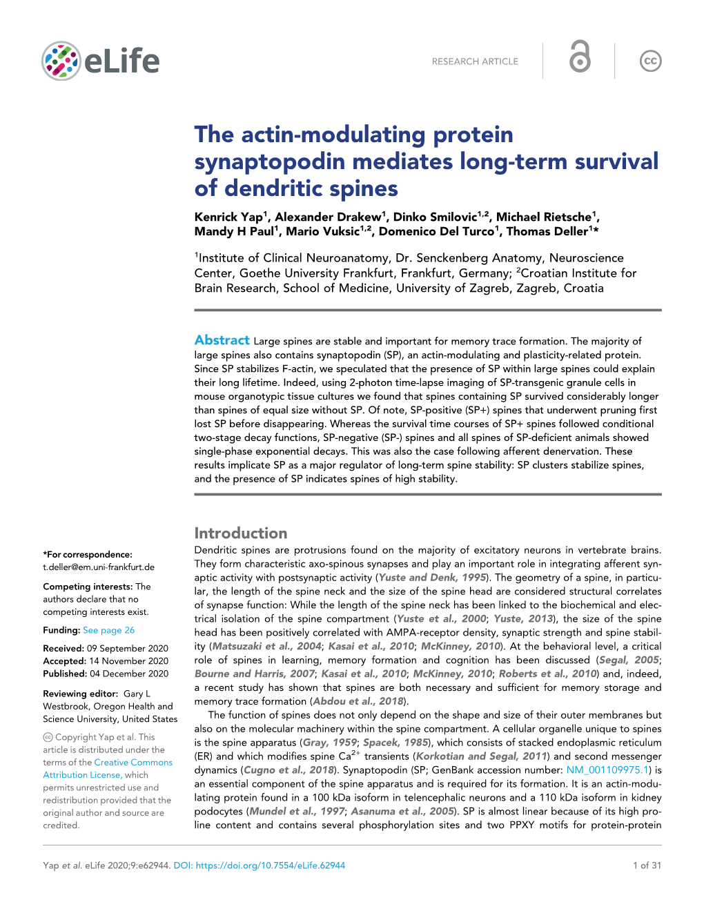 The Actin-Modulating Protein Synaptopodin Mediates Long-Term