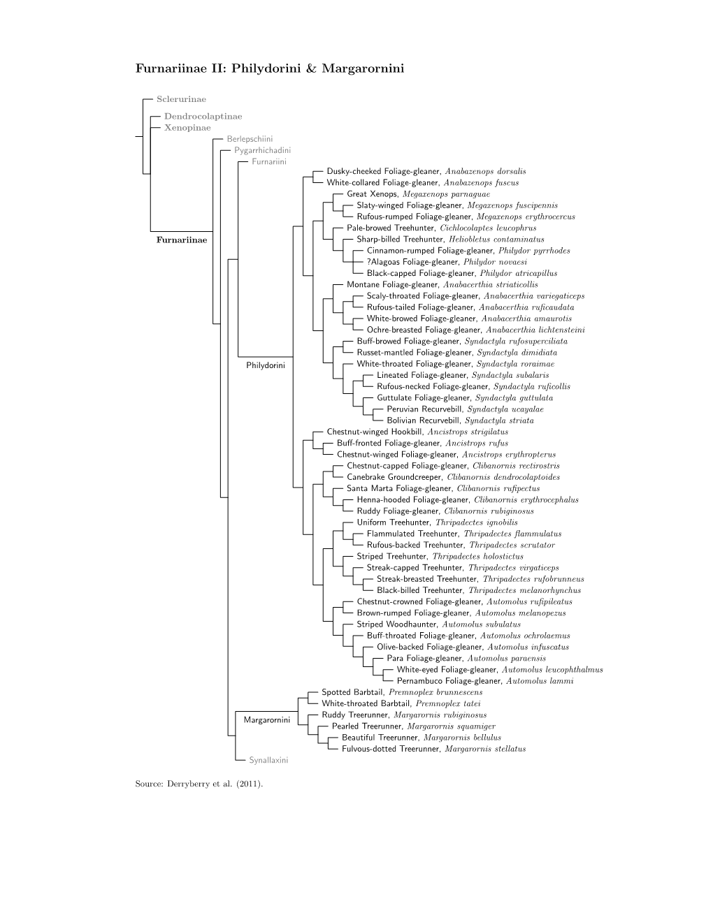 Furnariinae2 Tree, Part 2