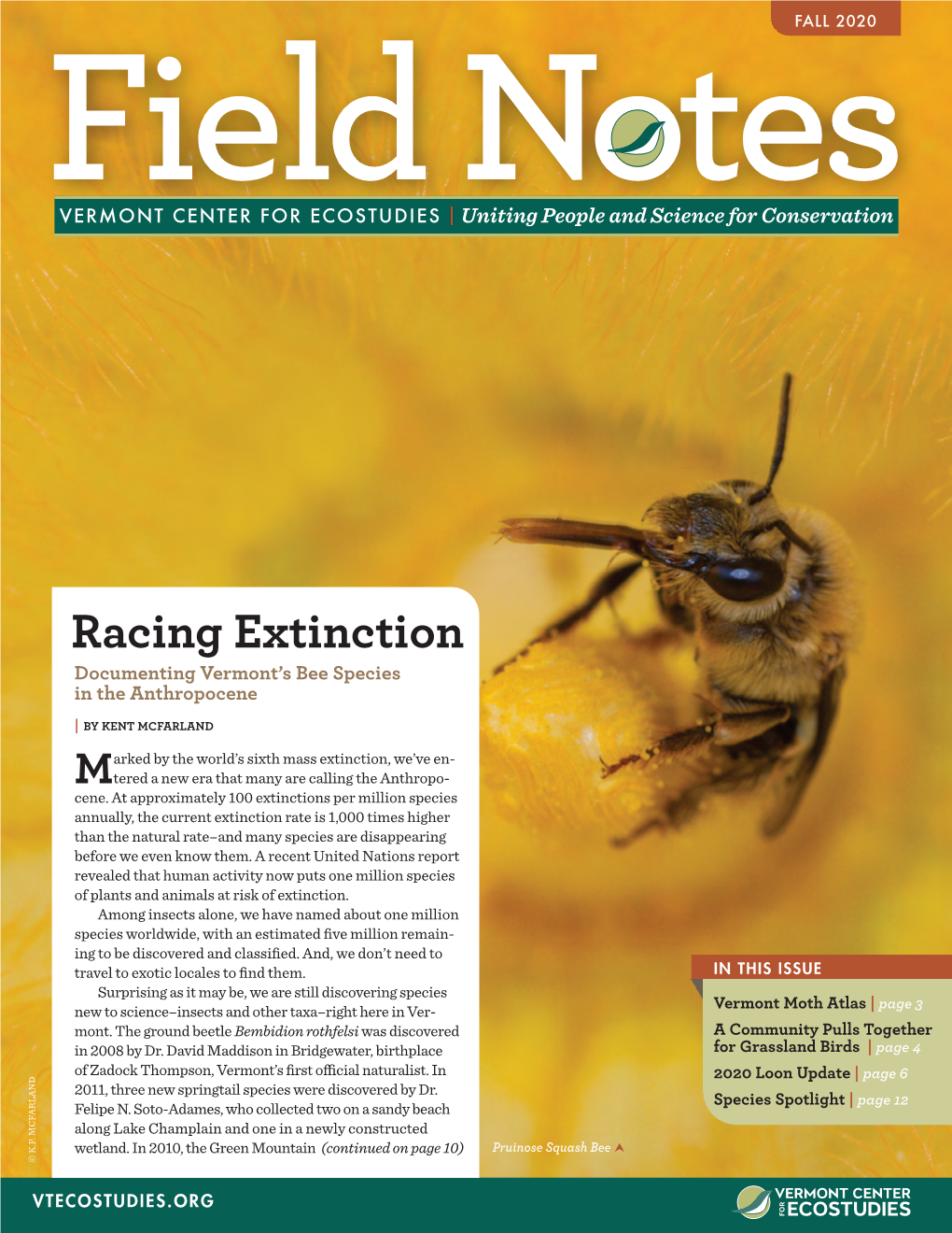 Racing Extinction Documenting Vermont’S Bee Species in the Anthropocene