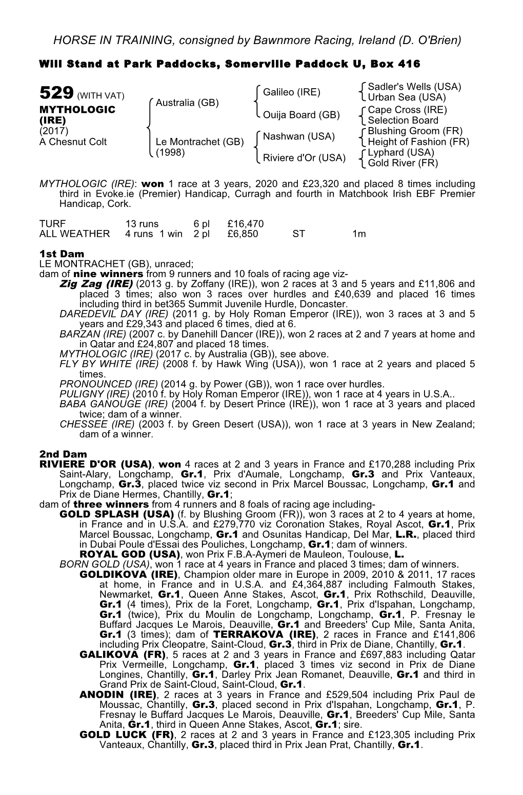 HORSE in TRAINING, Consigned by Bawnmore Racing, Ireland (D