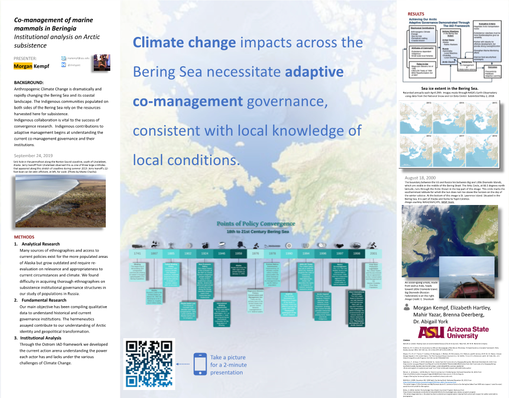 Co-Management of Marine Mammals in Beringia: Institutional