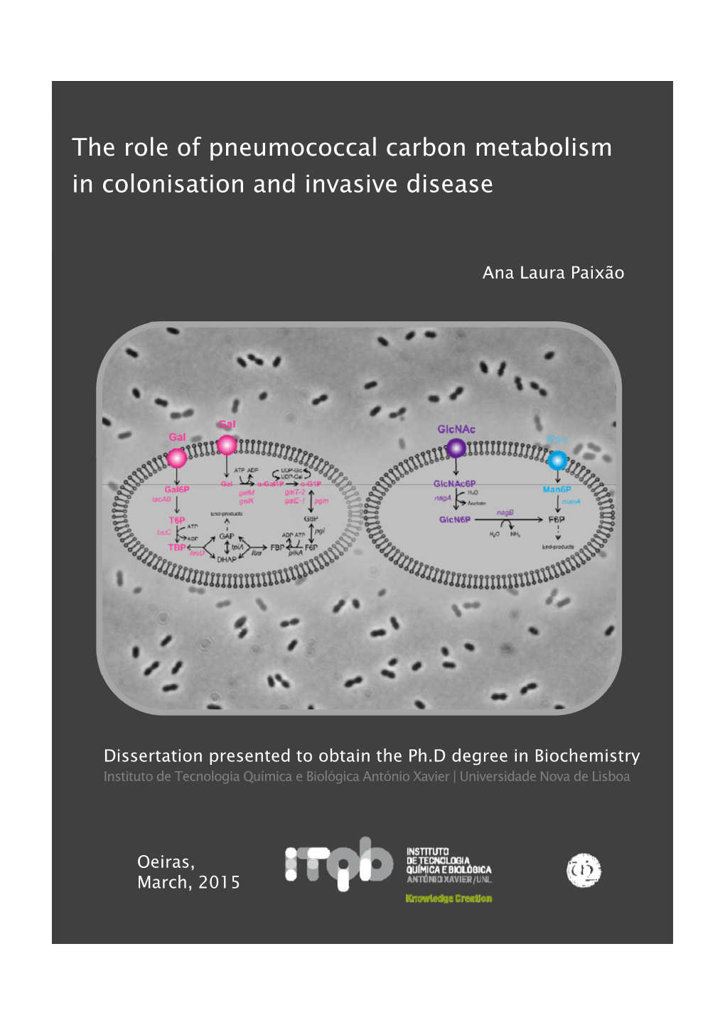 The Role of Pneumococcal Carbon Metabolism in Colonisation and Invasive Disease