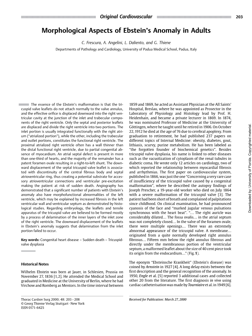 Morphological Aspects of Ebstein's Anomaly in Adults