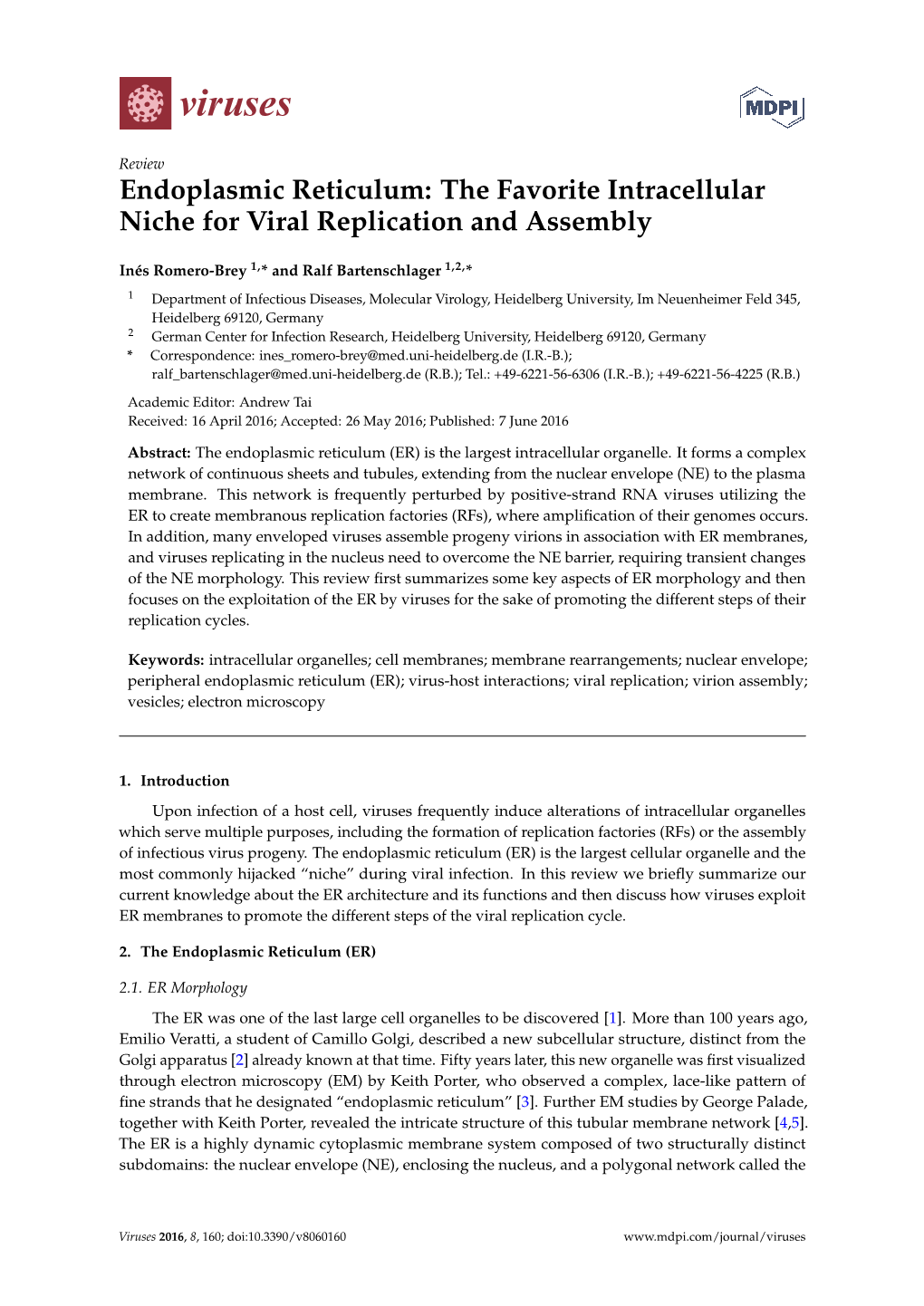 Endoplasmic Reticulum: the Favorite Intracellular Niche for Viral Replication and Assembly