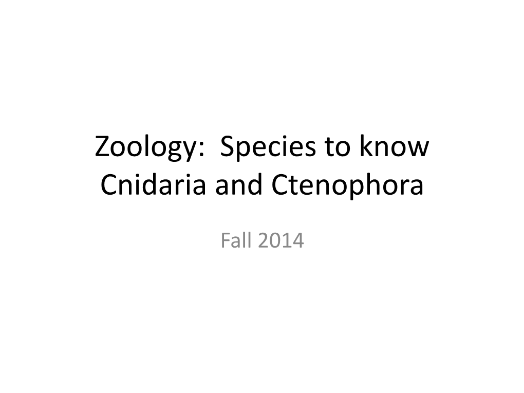 Species to Know Cnidaria and Ctenophora