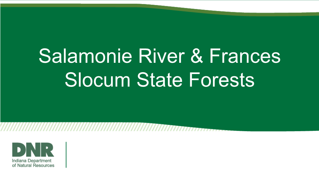 Salamonie River & Frances Slocum State Forests