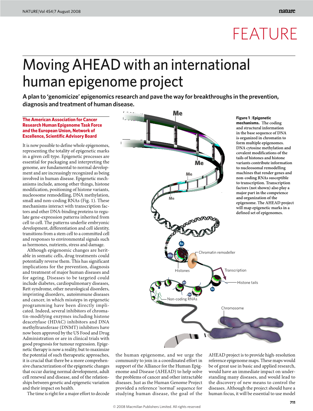 Moving Ahead with an International Human Epigenome Project
