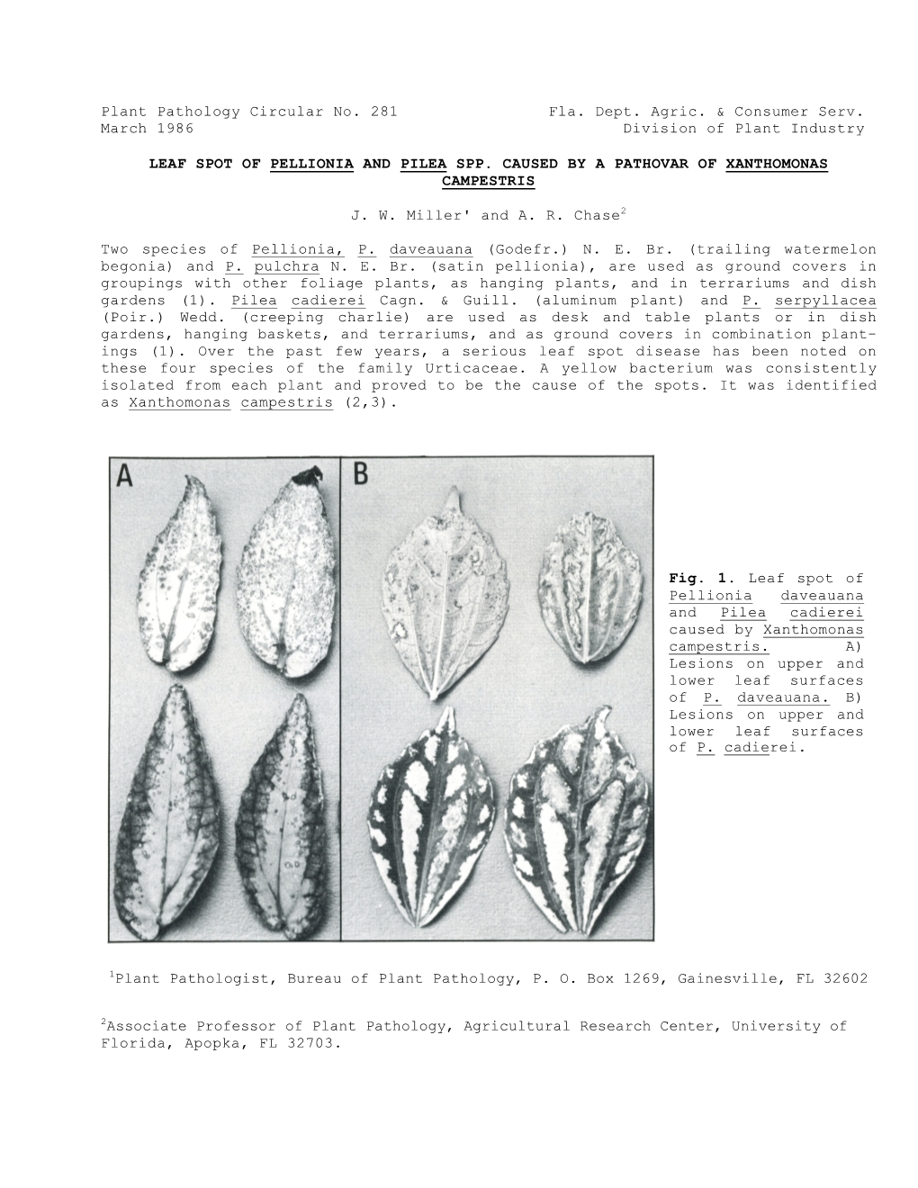 Plant Pathology Circular No. 281 Fla. Dept. Agric. & Consumer Serv