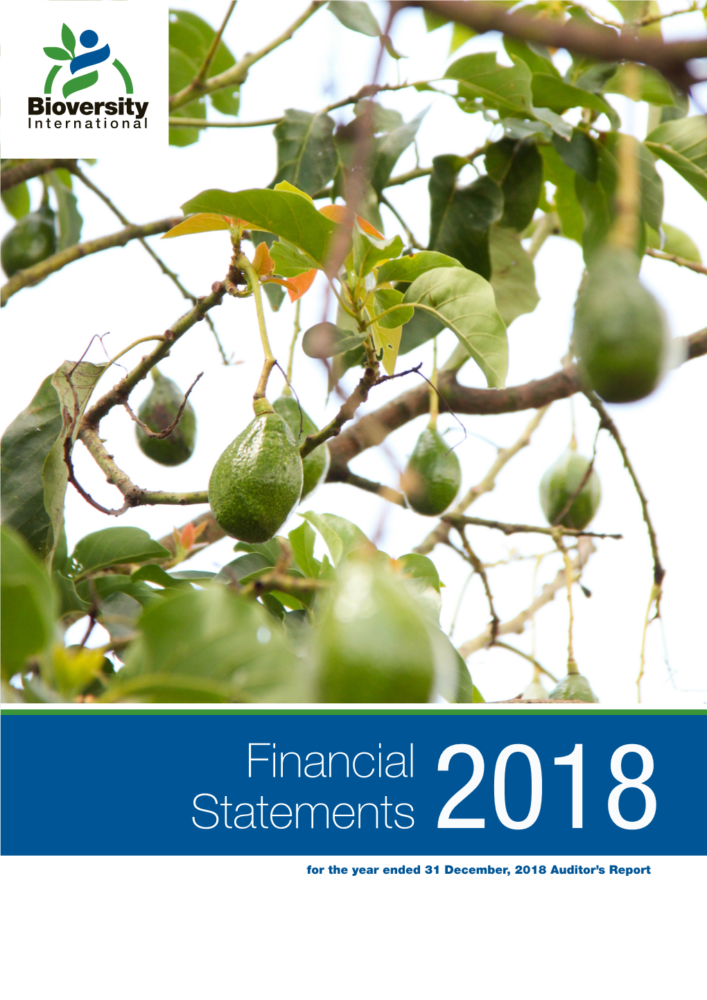 Financial Statements 2018 for the Year Ended 31 December, 2018 Auditor’S Report