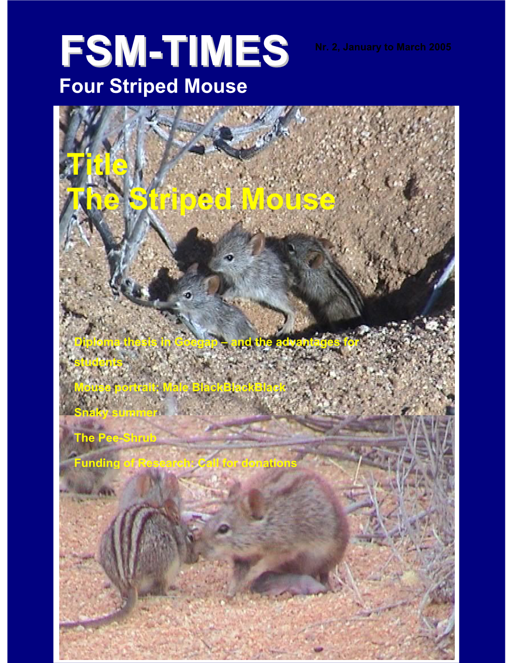 FSM-TIMES, Write an Sciences, University of the Witwatersrand, Email To: Info@Stripedmouse.Com