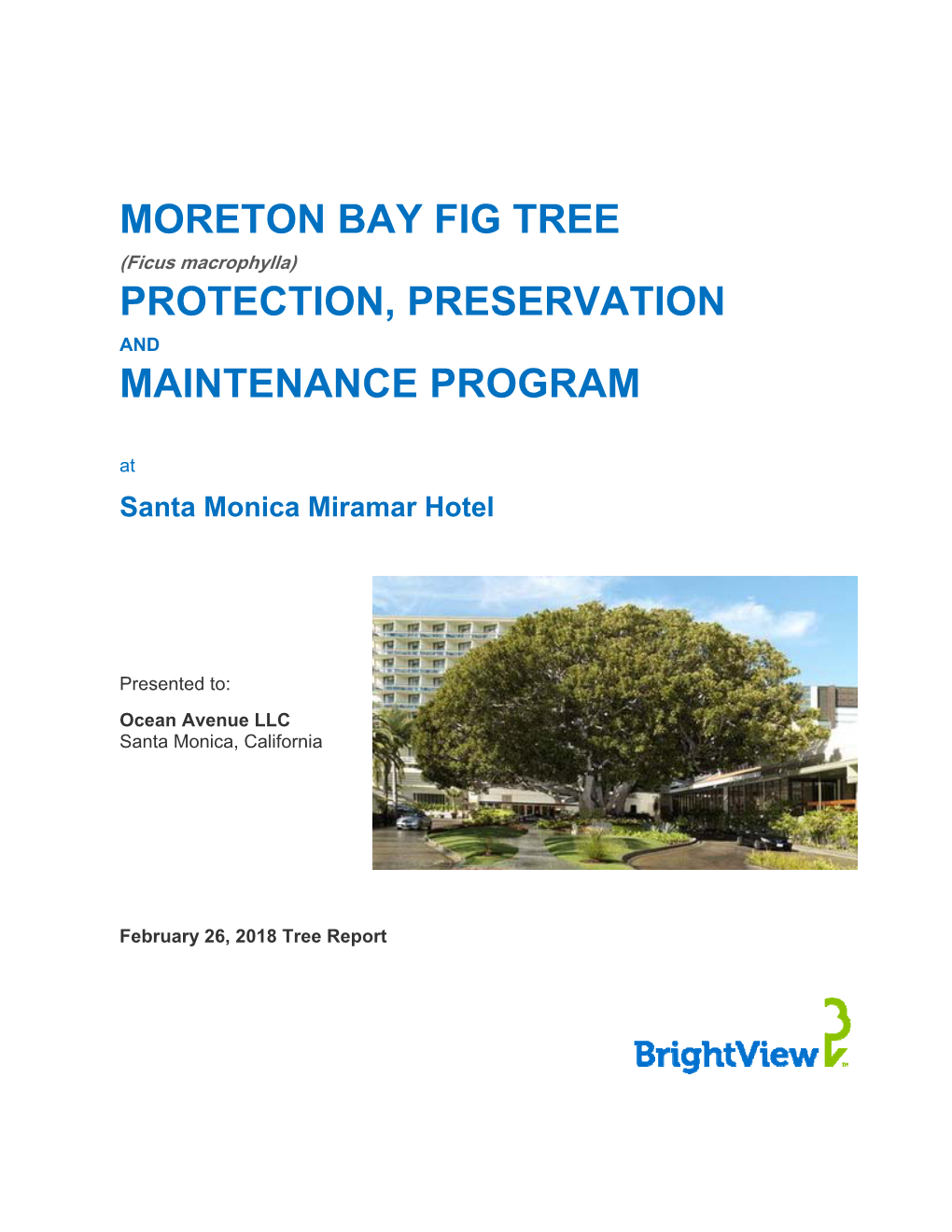 Moreton Bay Fig Tree Protection, Preservation Maintenance Program