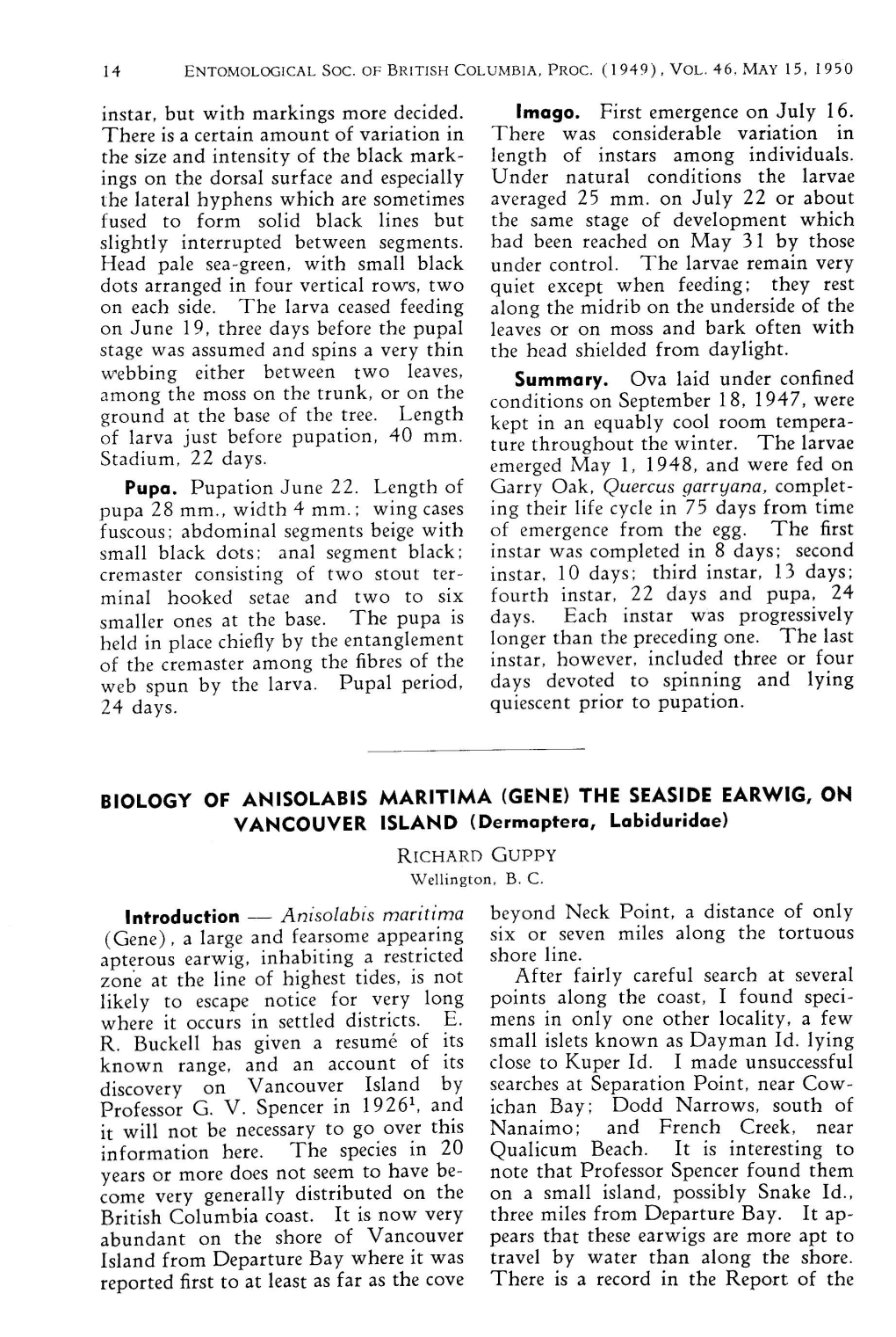 BIOLOGY of ANISOLABIS MARITIMA (GENE) the SEASIDE EARWIG, on VANCOUVER ISLAN D (Dermaptera, Labiduridae) RICHARD Guppy Wellington, B