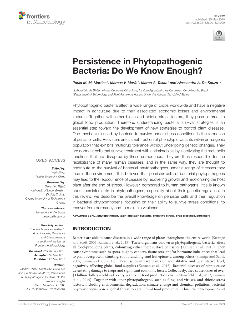Persistence in Phytopathogenic Bacteria: Do We Know Enough?