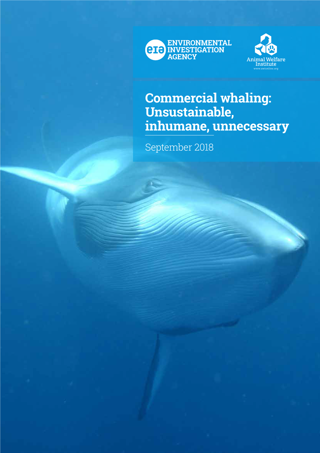 Commercial Whaling: Unsustainable, Inhumane, Unnecessary September 2018 2 Efficiency Inthe Cooling Sector