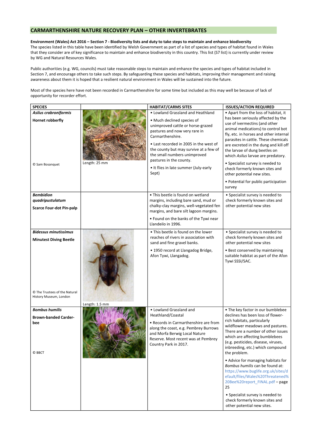 Other Invertebrates (1MB, Pdf)