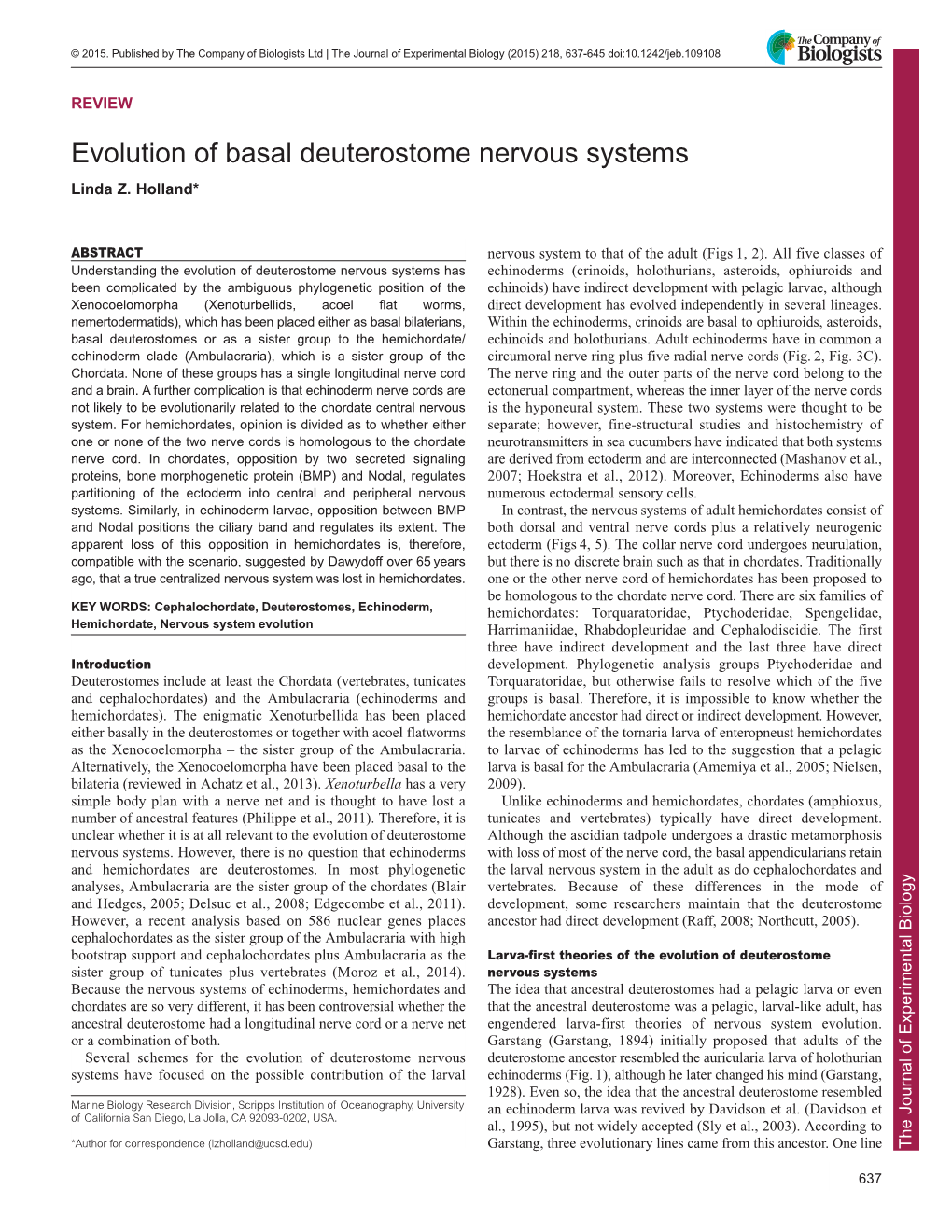 Evolution of Basal Deuterostome Nervous Systems