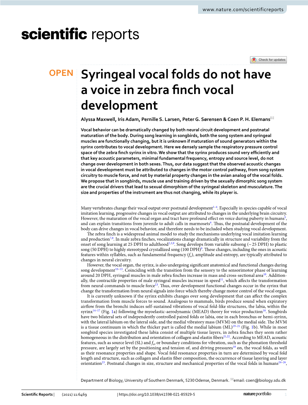 Syringeal Vocal Folds Do Not Have a Voice in Zebra Finch Vocal