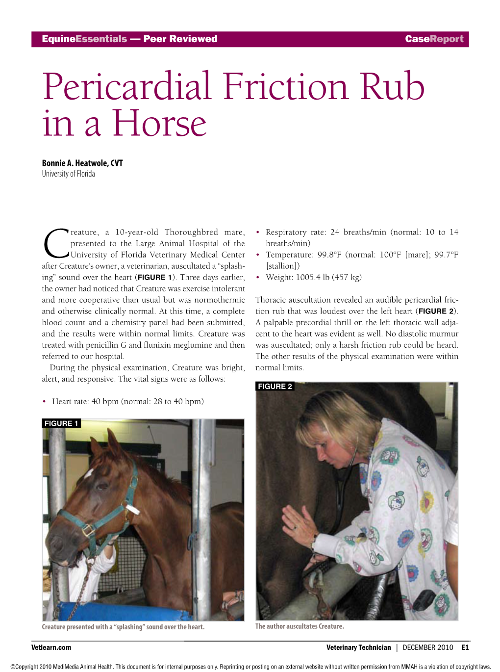 Pericardial Friction Rub in a Horse