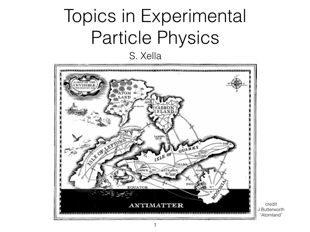 Topics in Experimental Particle Physics S