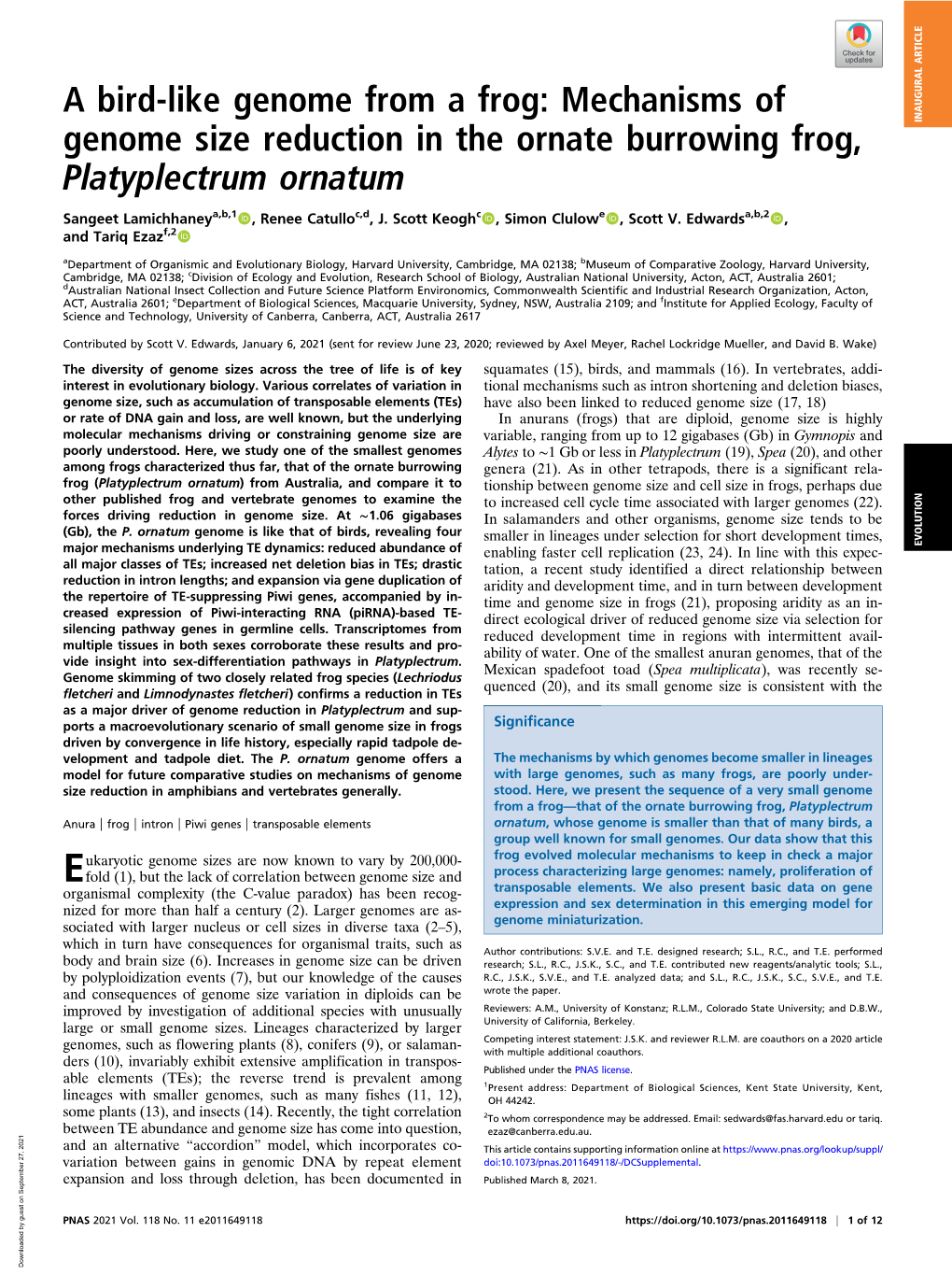 A Bird-Like Genome from a Frog: Mechanisms of Genome Size Reduction in the Ornate Burrowing Frog, Platyplectrum Ornatum