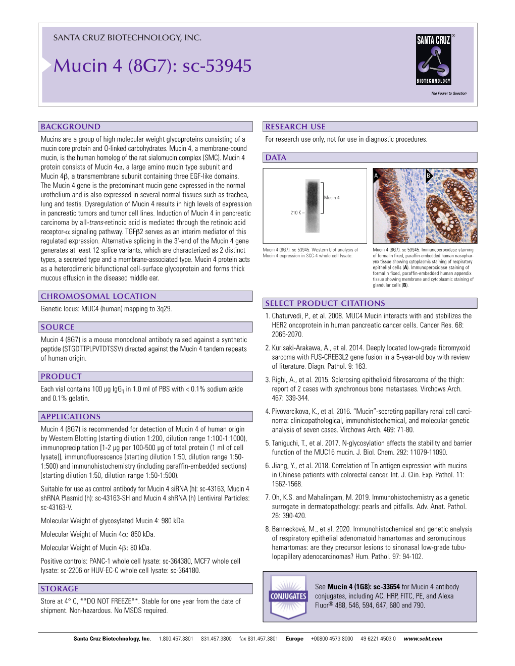 Mucin 4 (8G7): Sc-53945