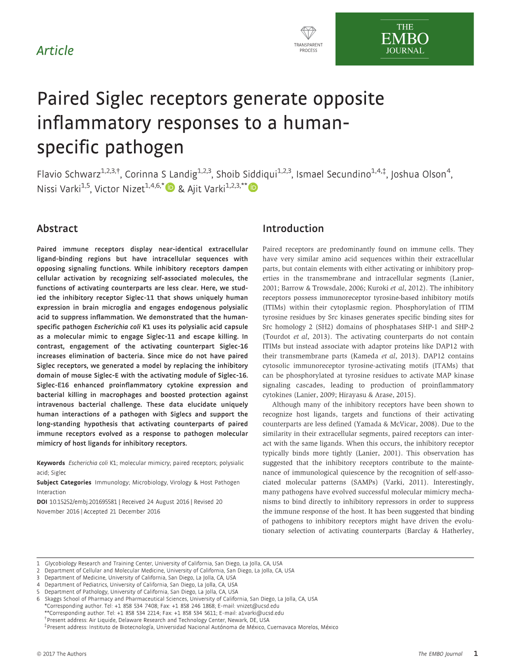 Paired Siglec Receptors Generate Opposite Inflammatory Responses to a Human- Specific Pathogen