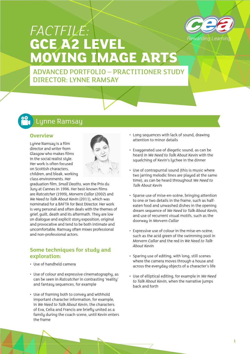 Gce A2 Level Moving Image Arts Advanced Portfolio – Practitioner Study Director: Lynne Ramsay