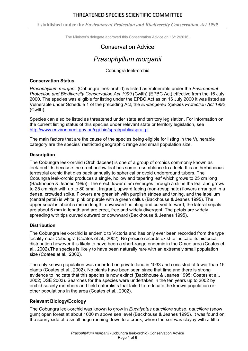 Conservation Advice Prasophyllum Morganii Cobungra Leek-Orchid