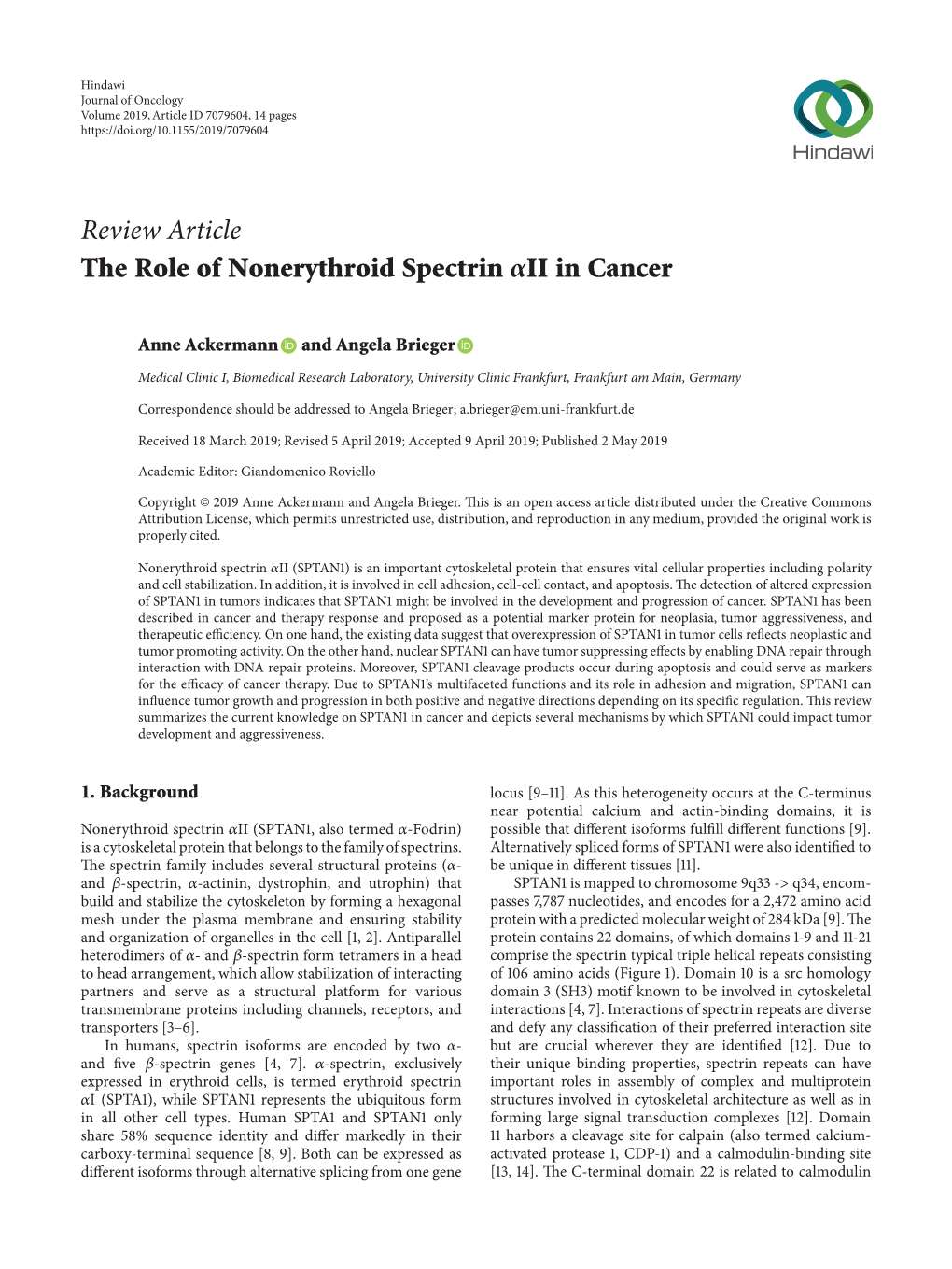 Review Article the Role of Nonerythroid Spectrin II in Cancer