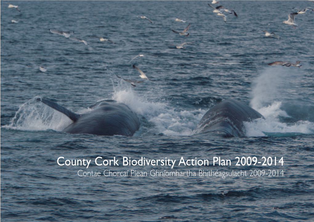 County Cork Biodiversity Action Plan 2009-2014 Contae Chorcaí Plean Ghníomhartha Bhithéagsulacht 2009-2014 Contents
