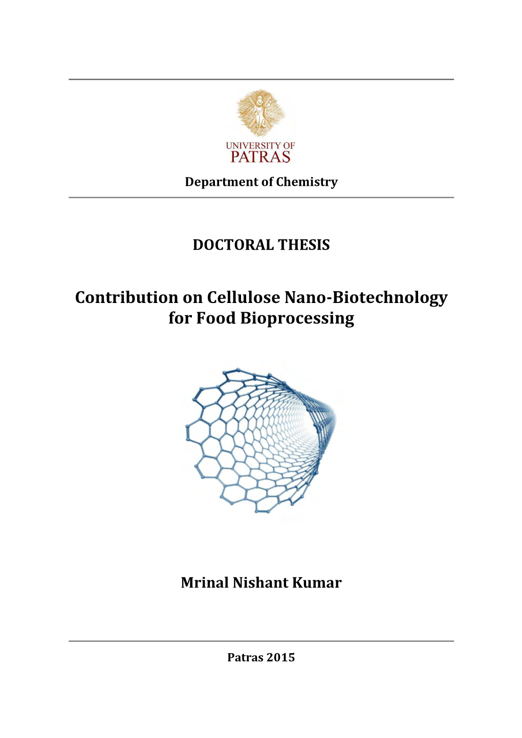 Contribution on Cellulose Nano-Biotechnology for Food Bioprocessing