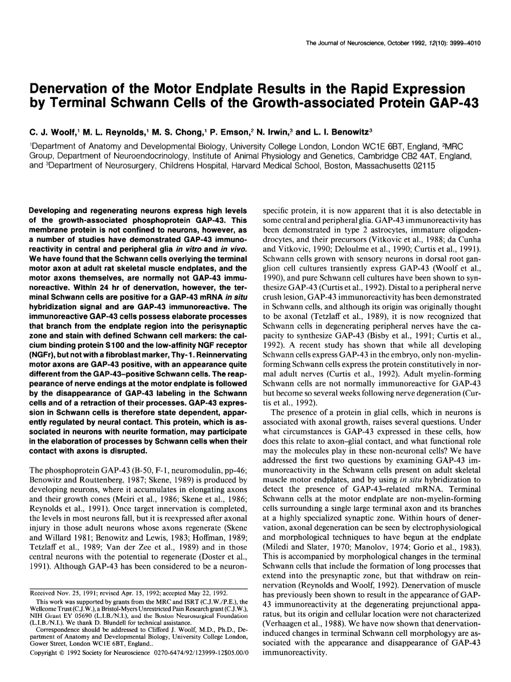 Denervation of the Motor Endplate Results in the Rapid Expression by Terminal Schwann Cells of the Growth-Associated Protein GAP-43