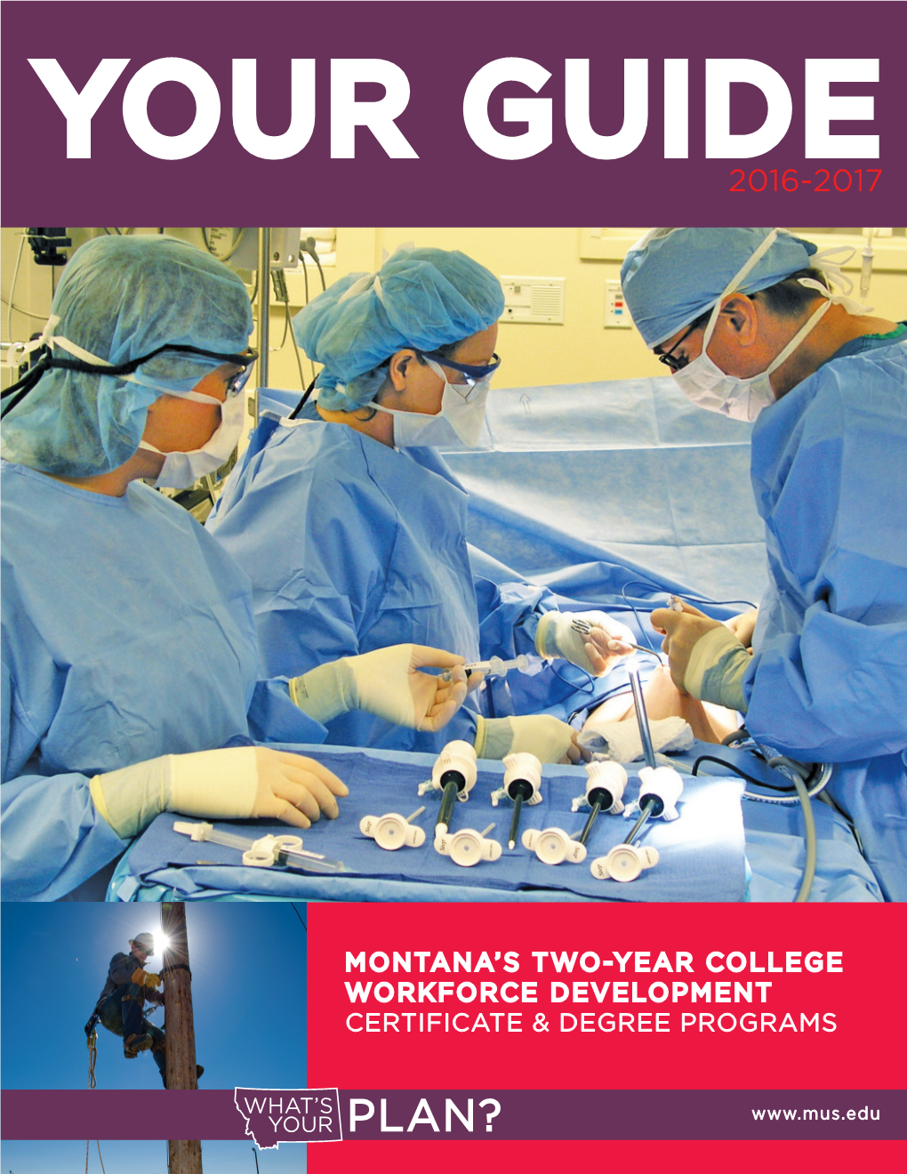 Montana's Two-Year College Workforce Development Certificate & Degree