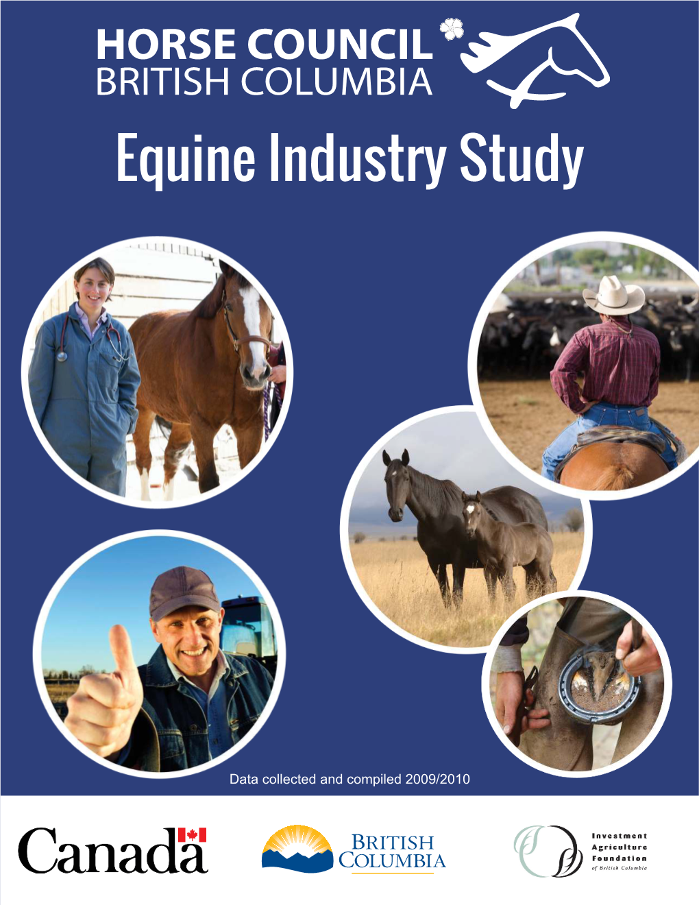 Equine Industry Study