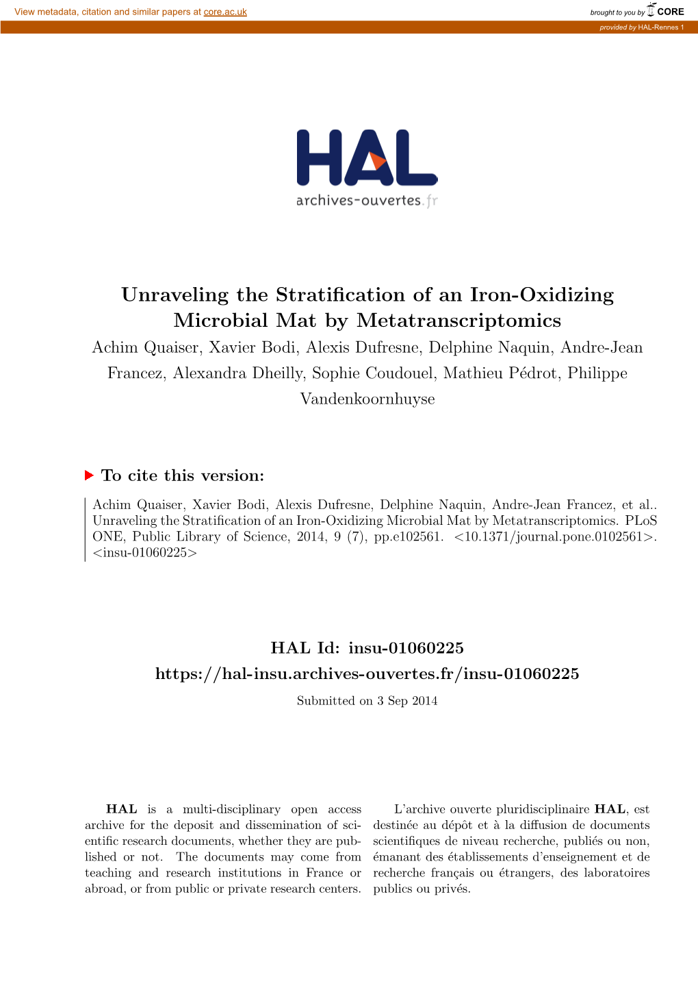 Unraveling the Stratification of an Iron-Oxidizing Microbial Mat by Metatranscriptomics