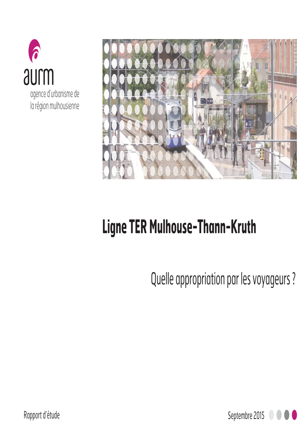 Ligne TER Mulhouse-Thann-Kruth