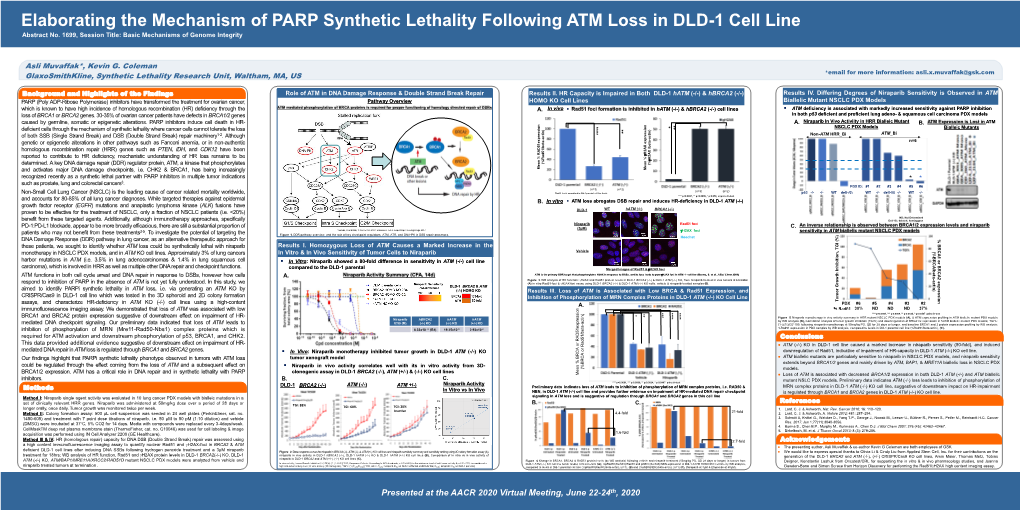 Elaborating the Mechanism of PARP Synthetic Lethality Following ATM