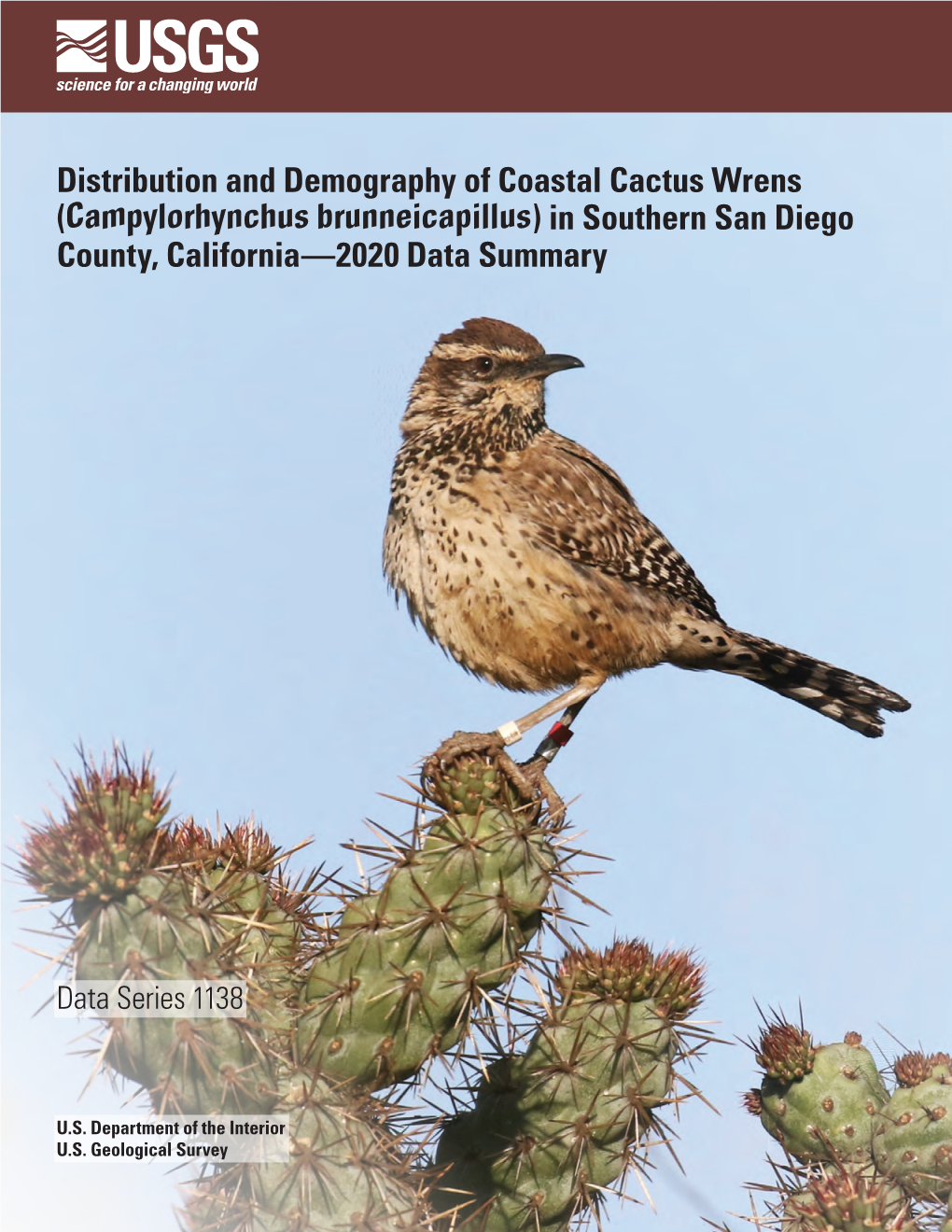 Campylorhynchus Brunneicapillus) in Southern San Diego County, California—2020 Data Summary