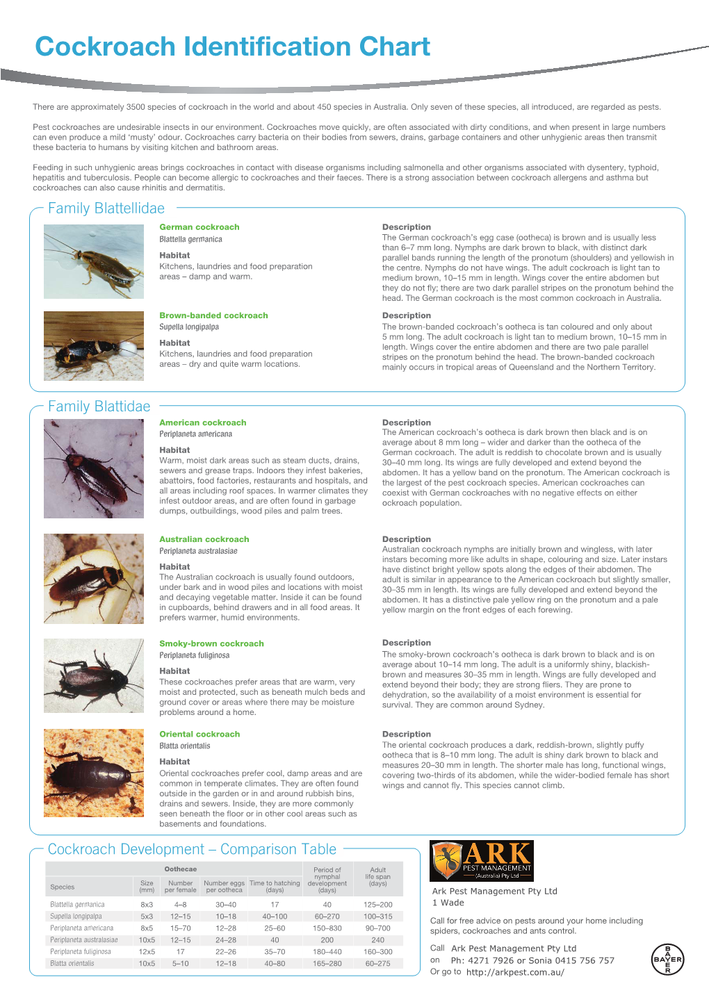 Cockroach Chart